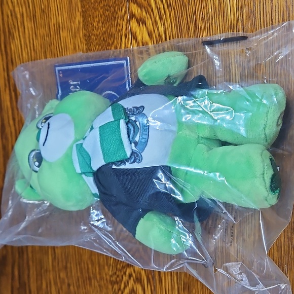Care Bears X Harry Potter Slytherin House Good Luck Bear - Picture 2 of 4